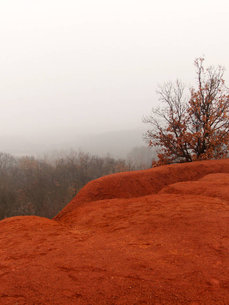 Landscape