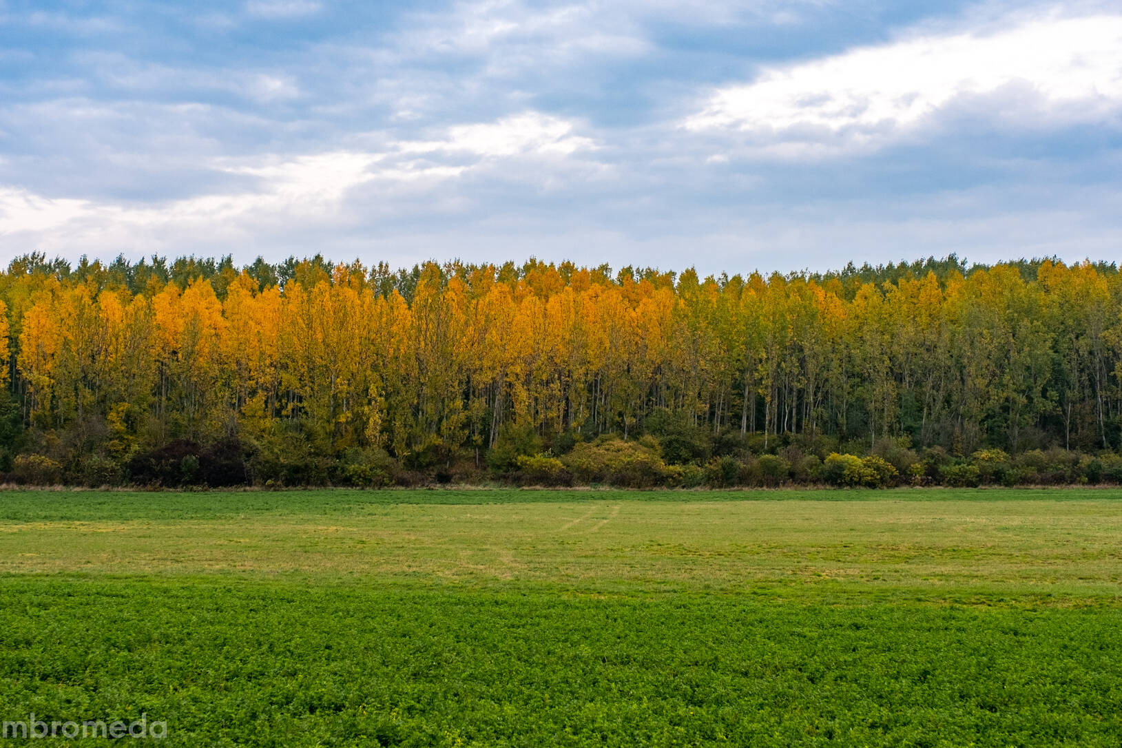 Landscape